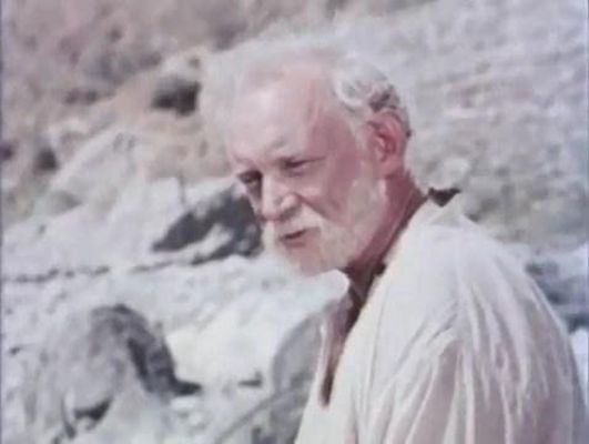 白色贵宾犬剧照的剧照