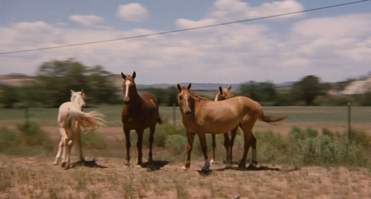 逍遥骑士剧照的剧照