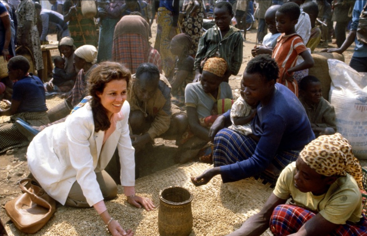 迷雾森林十八年剧照的剧照