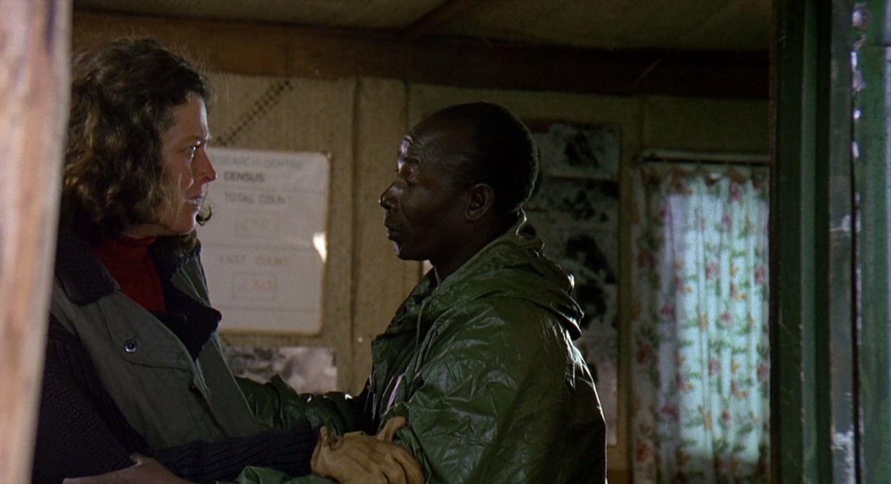 迷雾森林十八年剧照的剧照