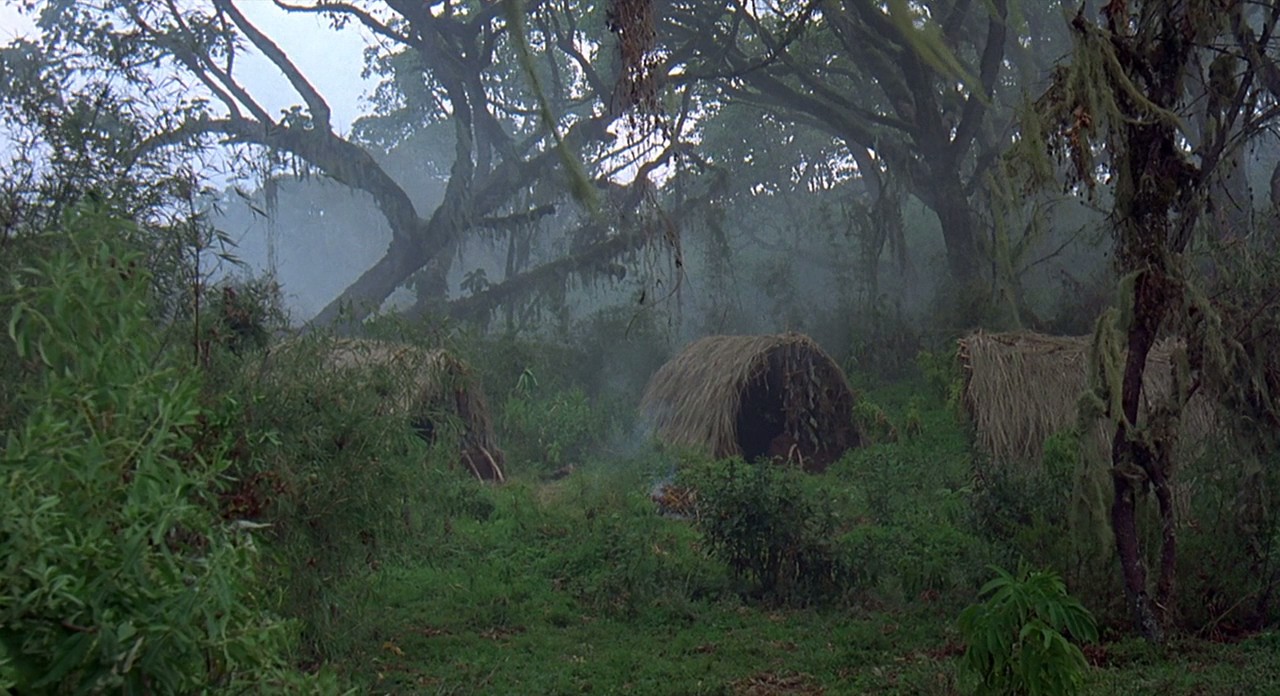 迷雾森林十八年剧照的剧照