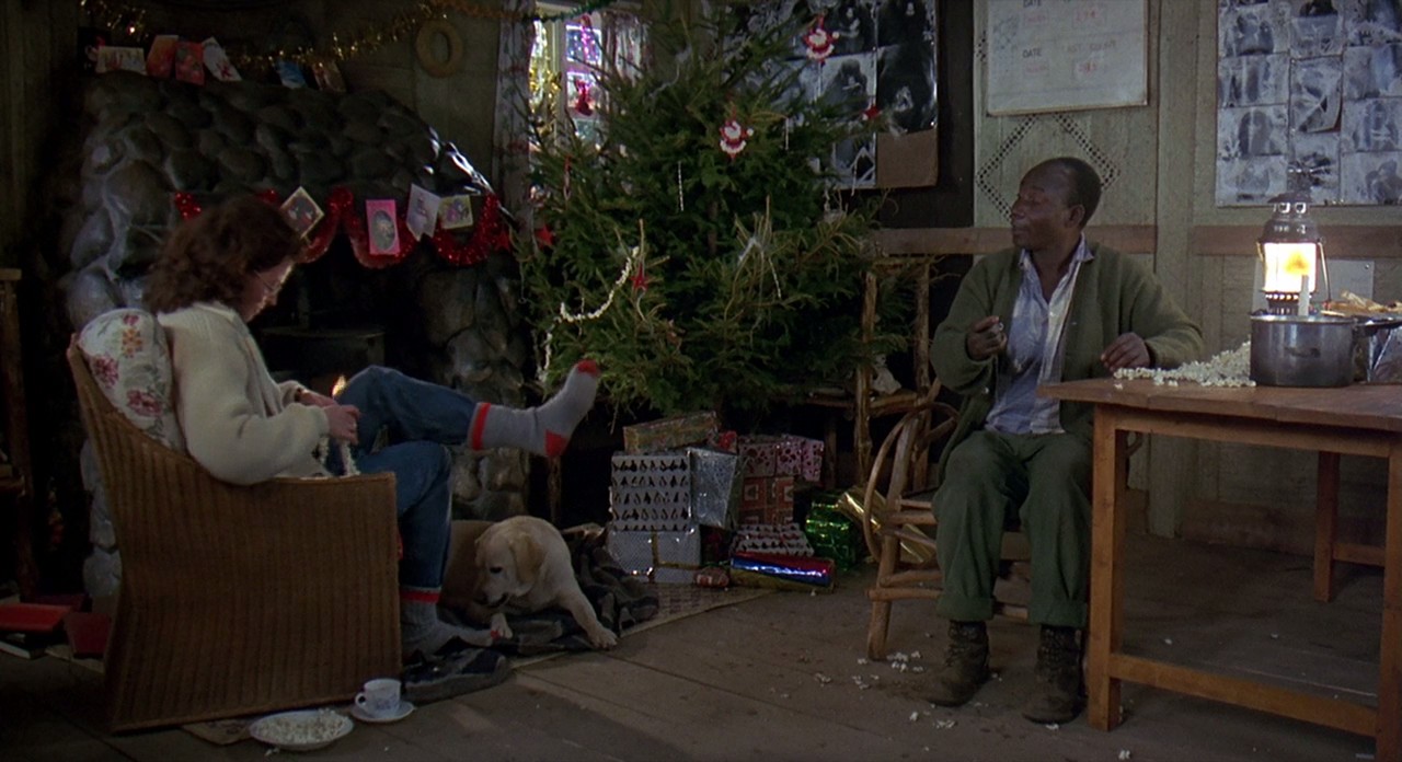 迷雾森林十八年剧照的剧照