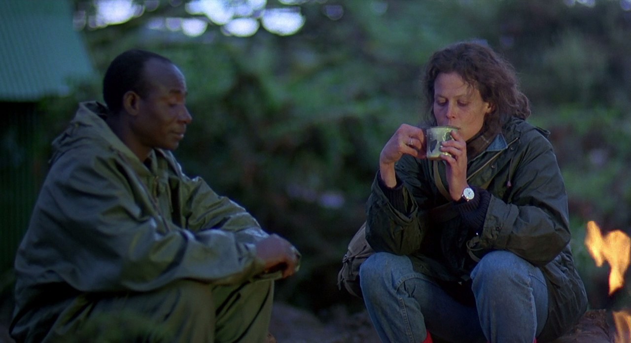 迷雾森林十八年剧照的剧照