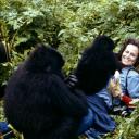 迷雾森林十八年剧照