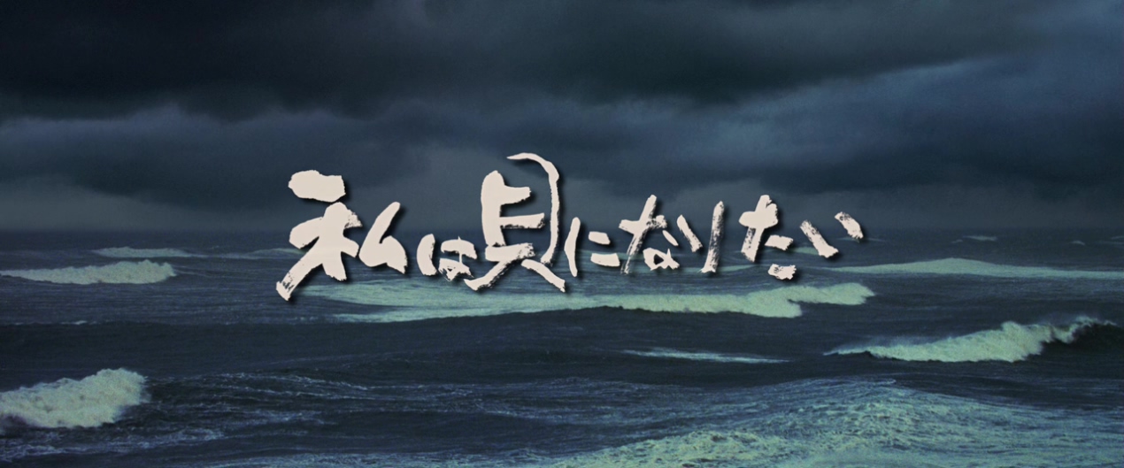 我想成为贝壳剧照的剧照