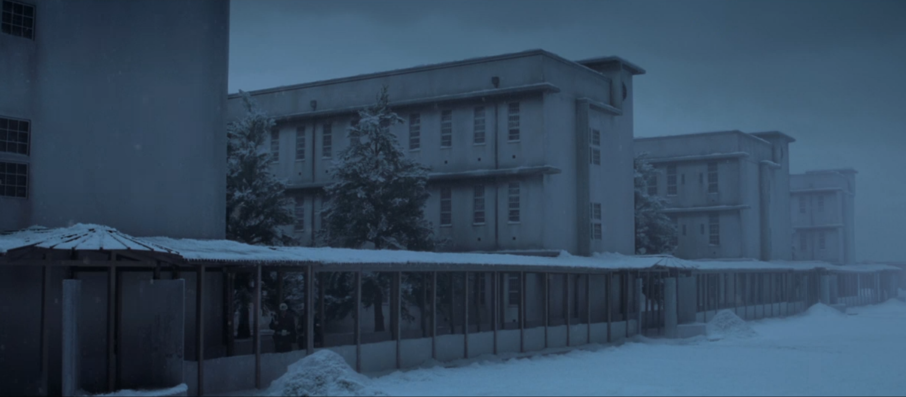 我想成为贝壳剧照的剧照