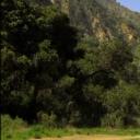 被时间遗忘的土地剧照