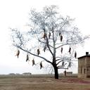 哭泣的草原剧照