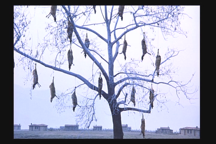 哭泣的草原剧照的剧照