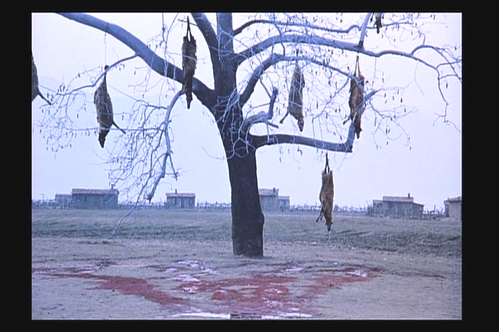 哭泣的草原剧照的剧照