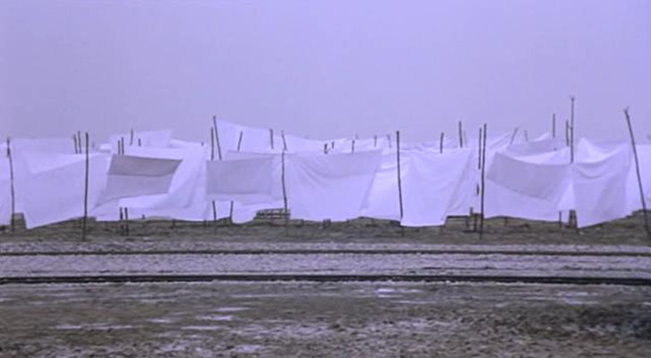 哭泣的草原剧照的剧照