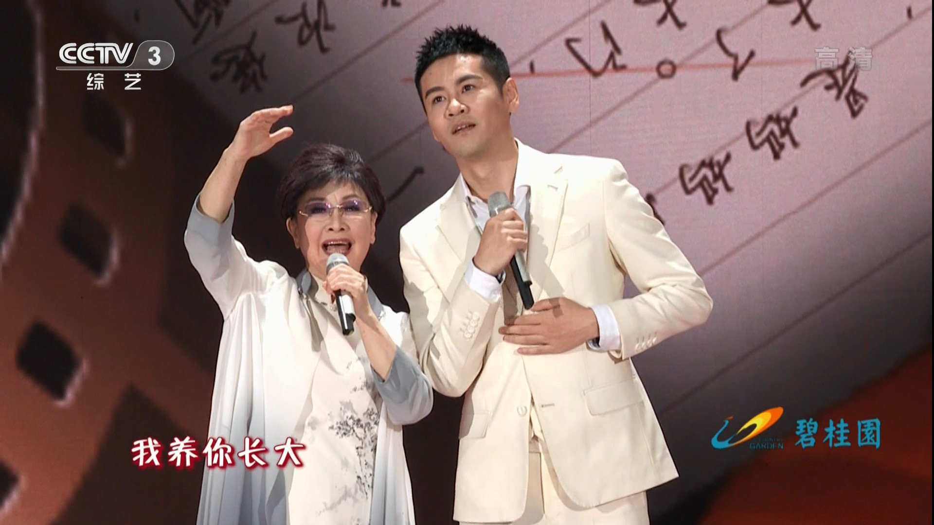 2019年中央广播电视总台元宵晚会剧照的剧照