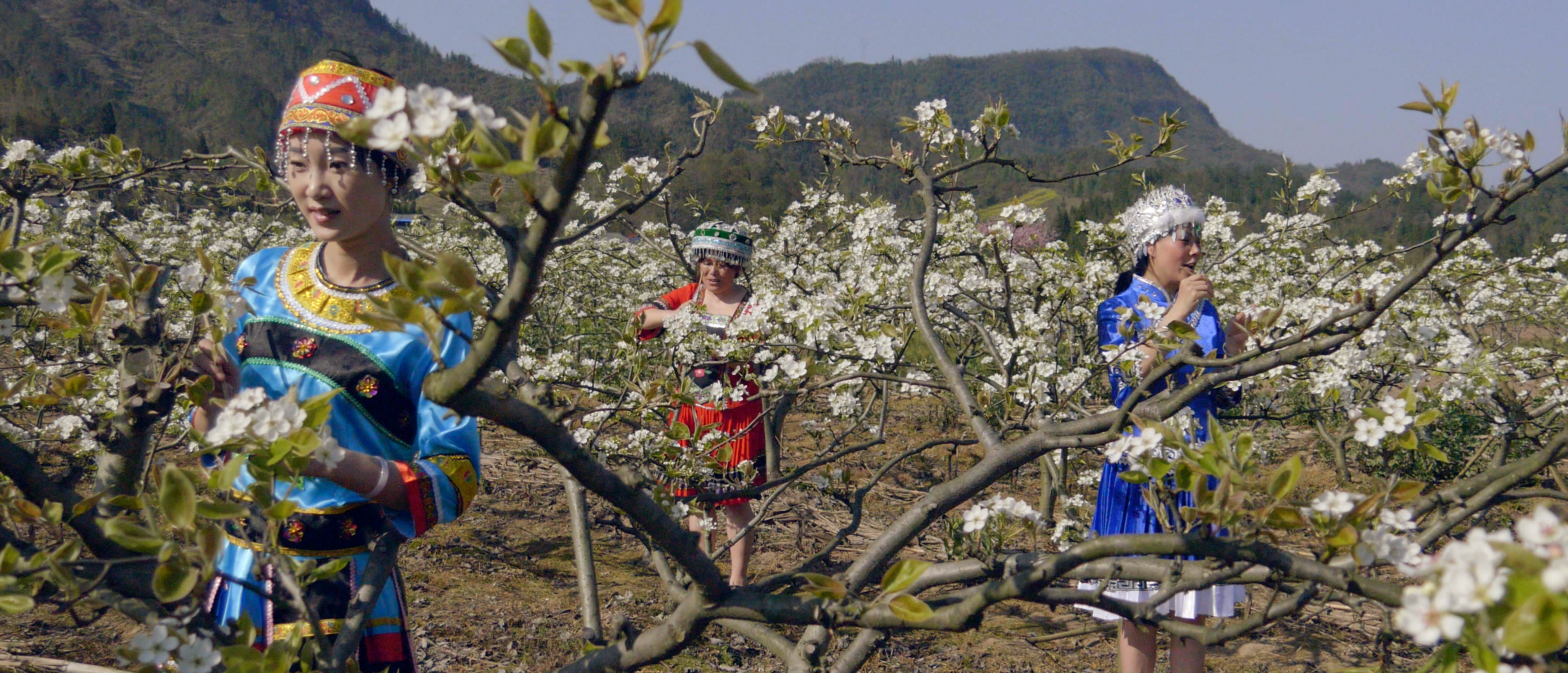 武陵山上的星光剧照的剧照