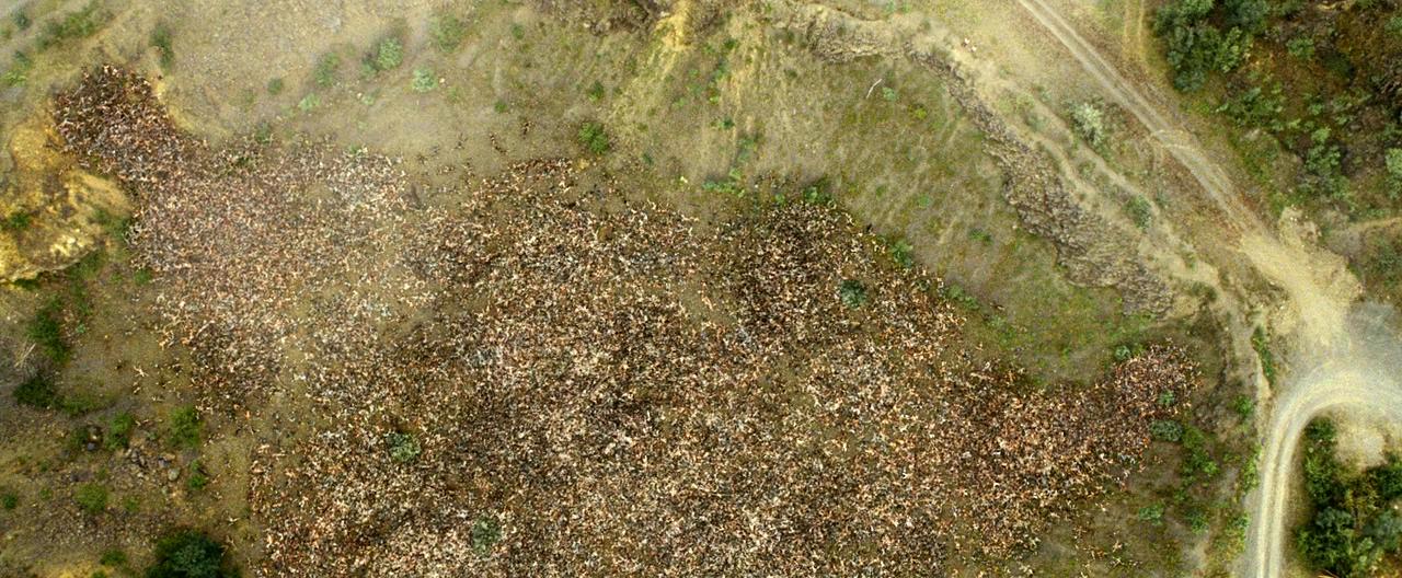 开棺剧照的剧照