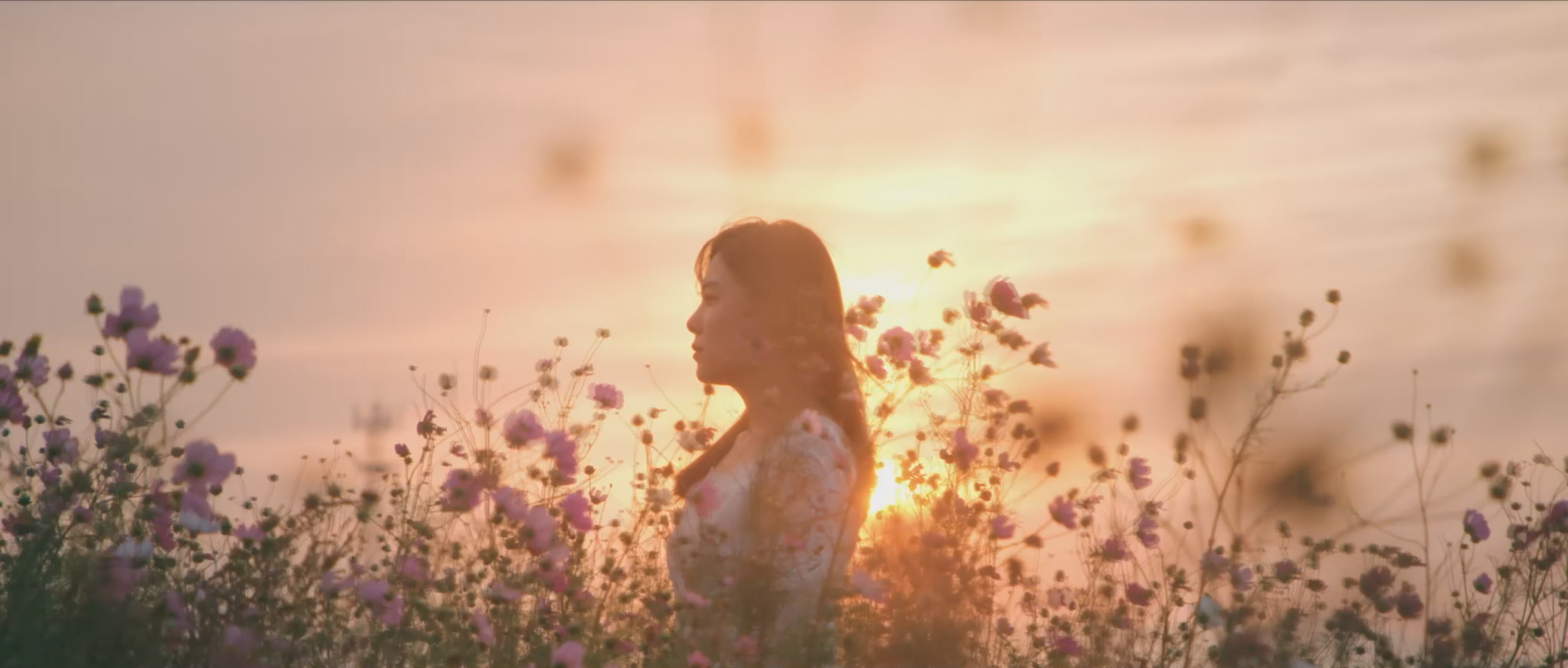 奇幻梦之旅剧照的剧照