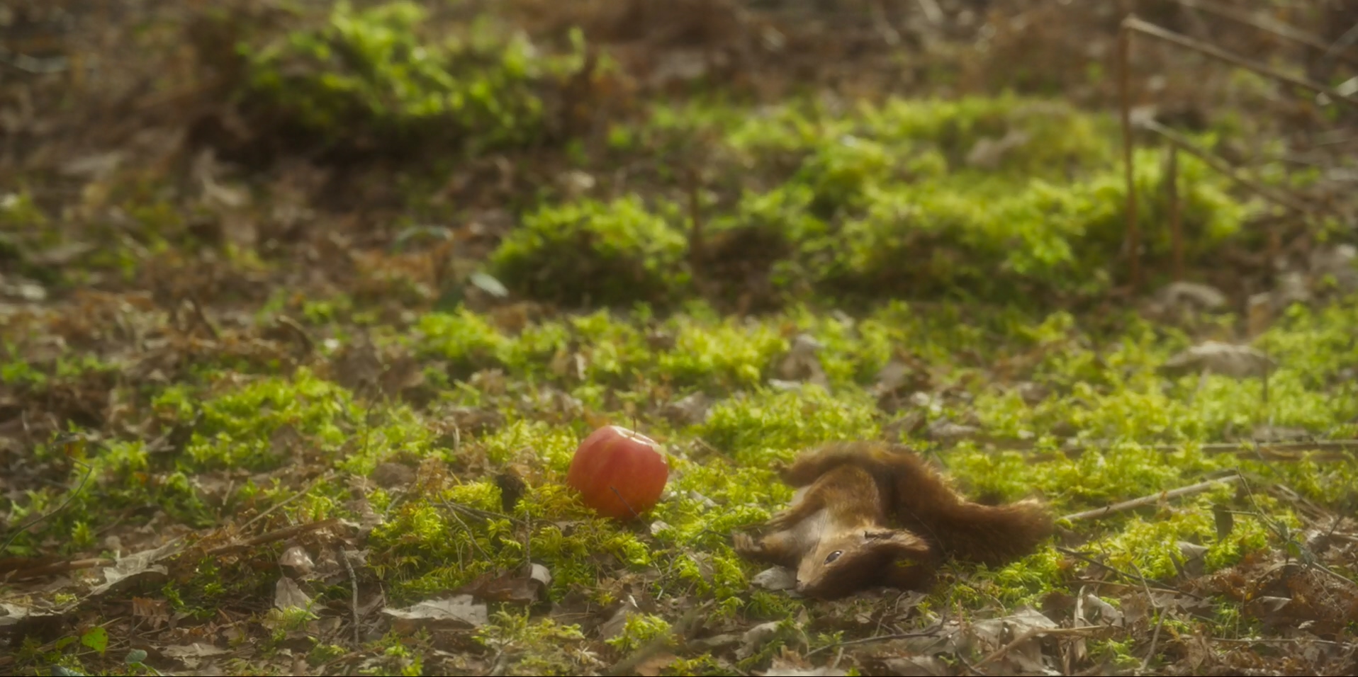 白雪公主剧照的剧照