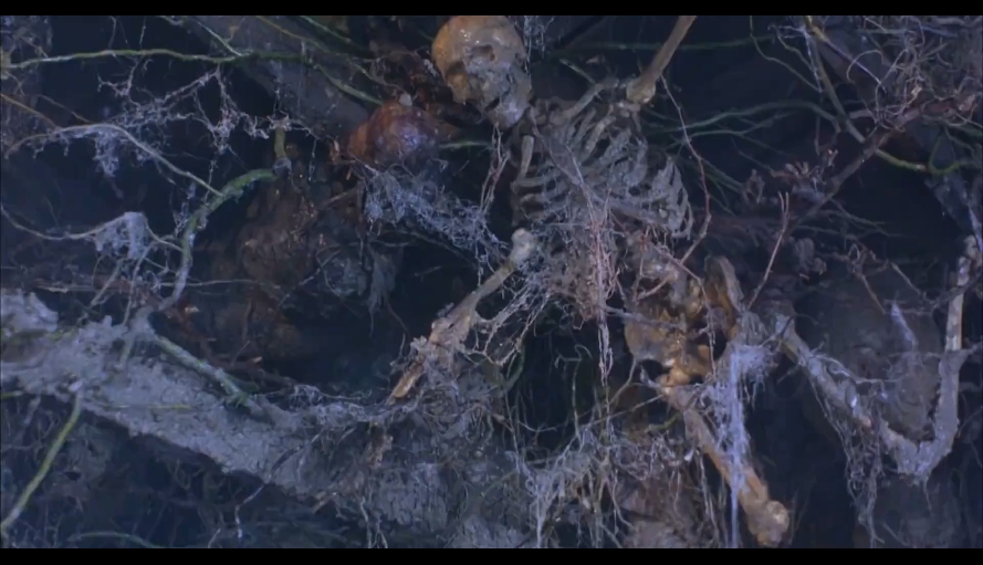 糖果人2：腥风血雨剧照的剧照