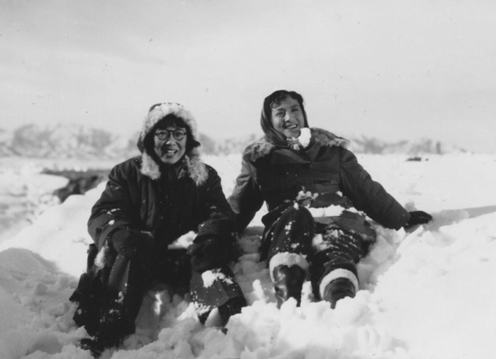 护士日记剧照的剧照