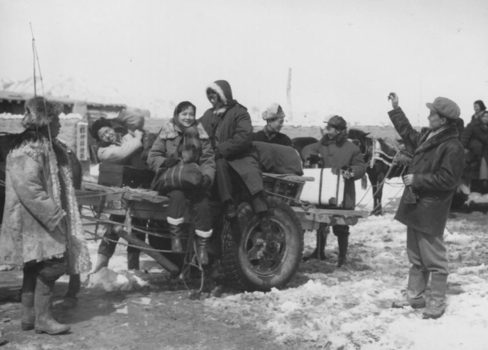 护士日记剧照的剧照