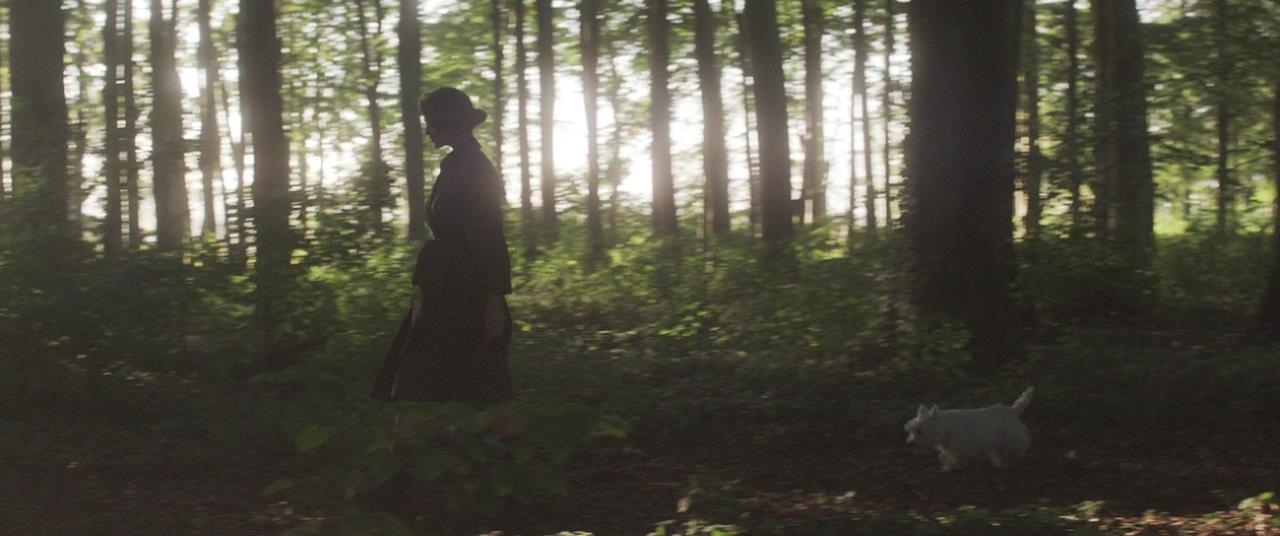 新包法利夫人剧照的剧照