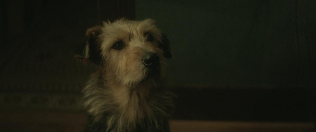 新包法利夫人剧照的剧照