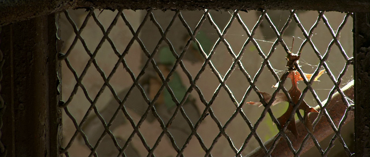 9号谋杀案剧照的剧照