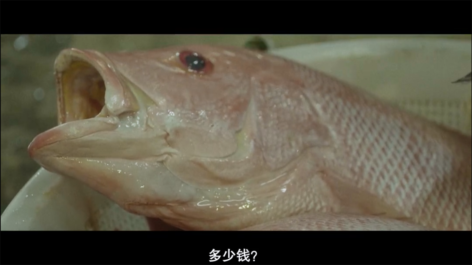 幻土剧照的剧照