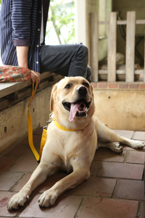 沉睡蝴蝶剧照的剧照