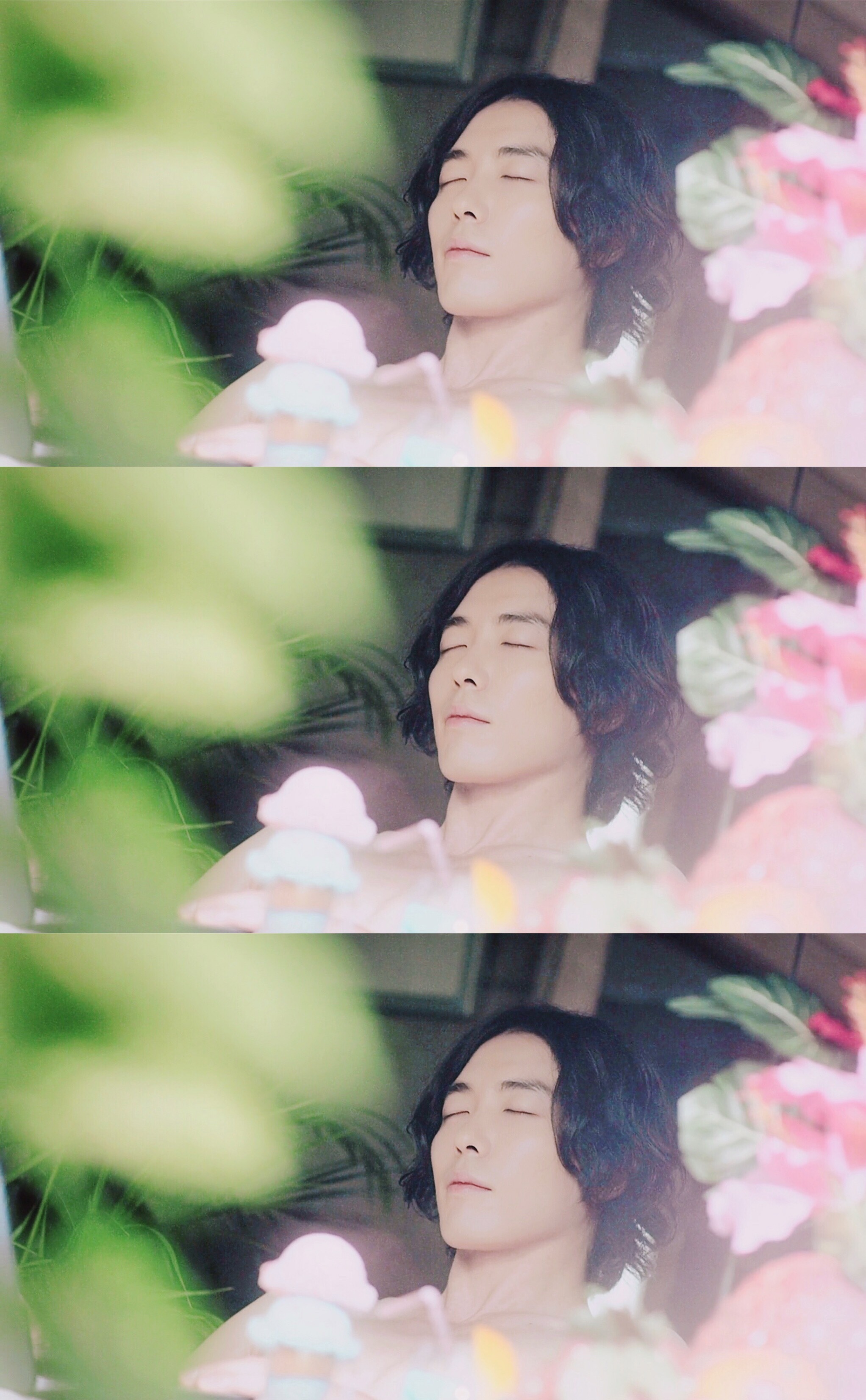 沉睡蝴蝶剧照的剧照