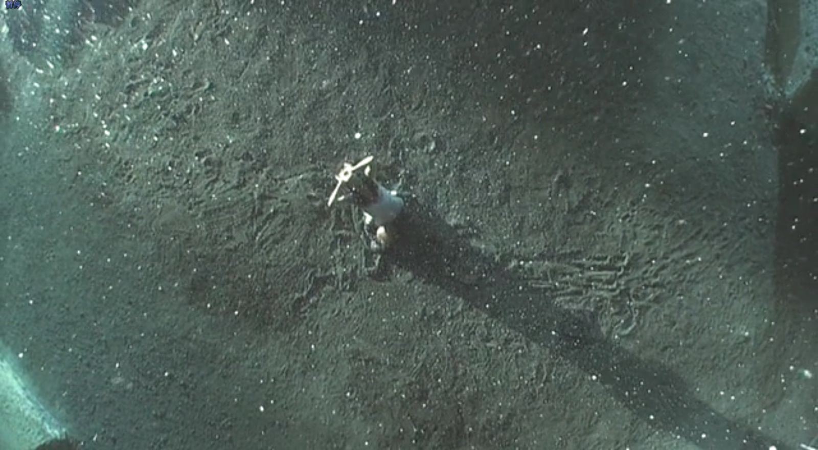 裸体之夜：掠夺狂爱剧照的剧照