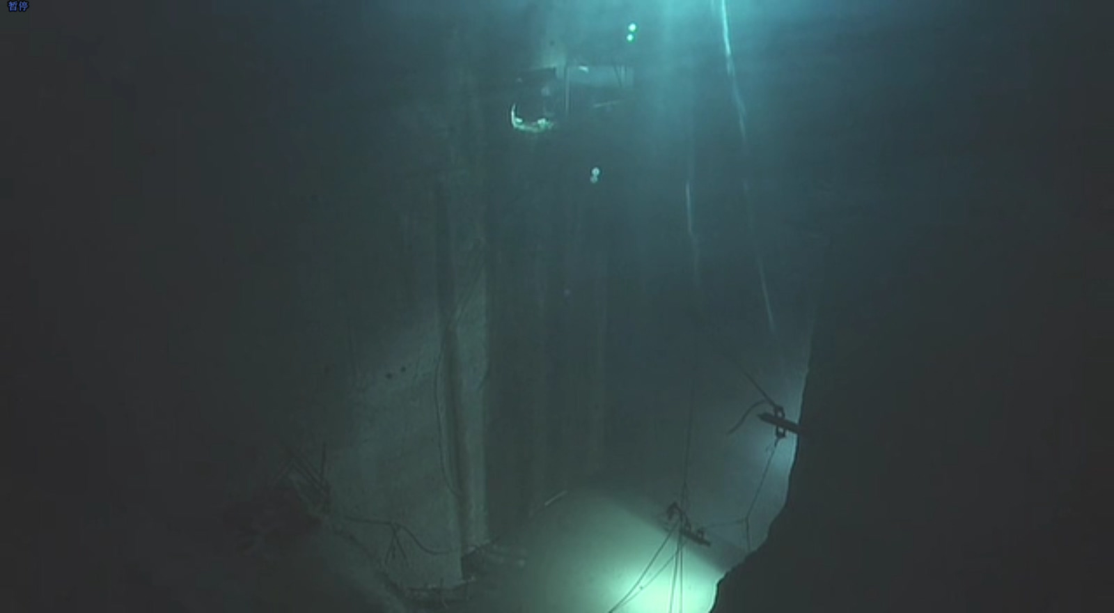 裸体之夜：掠夺狂爱剧照的剧照