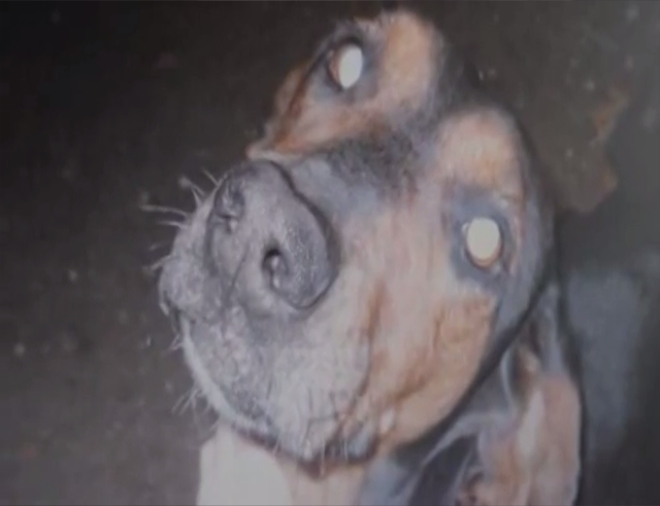 吃鸟食的男孩剧照的剧照