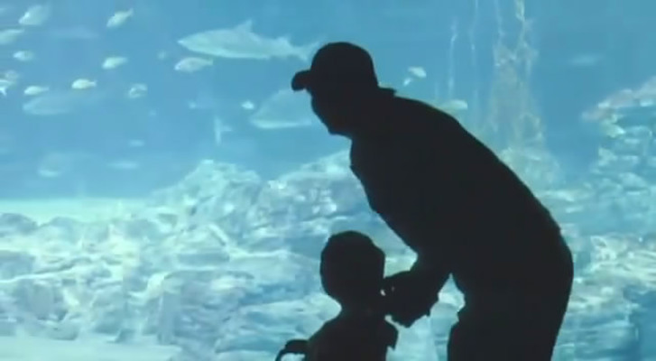 小王子剧照的剧照