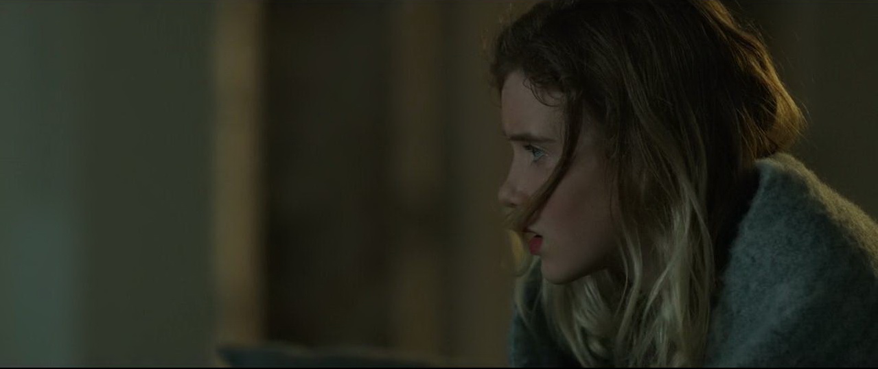 鹈鹕的故事剧照的剧照