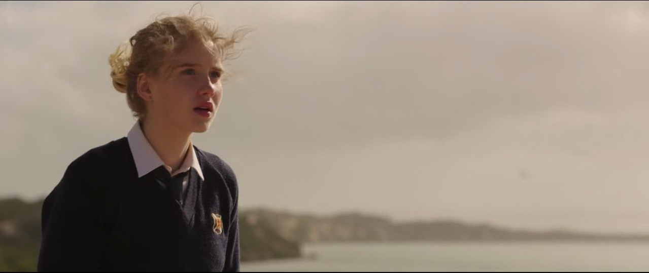 鹈鹕的故事剧照的剧照