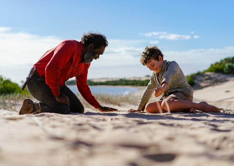 鹈鹕的故事剧照的剧照