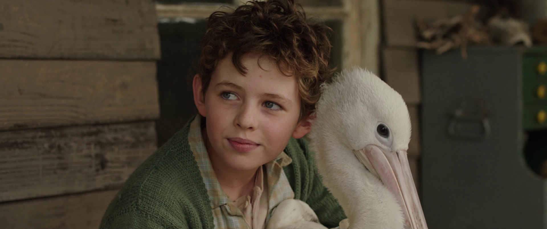 鹈鹕的故事剧照的剧照