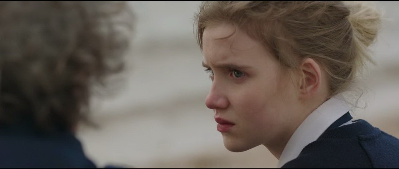 鹈鹕的故事剧照的剧照