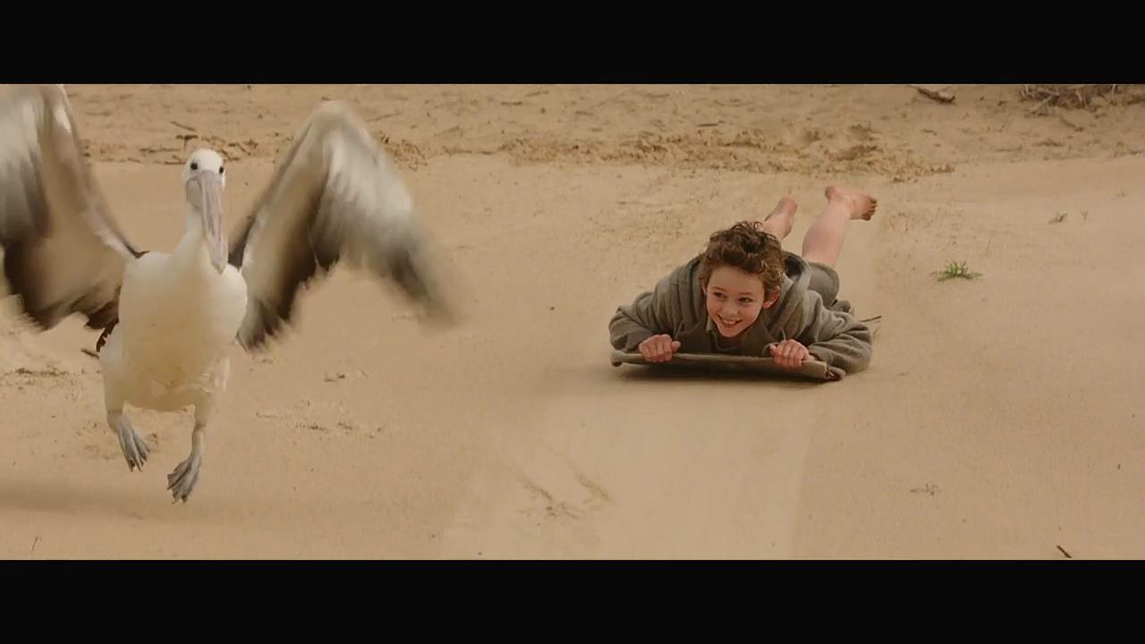 鹈鹕的故事剧照的剧照