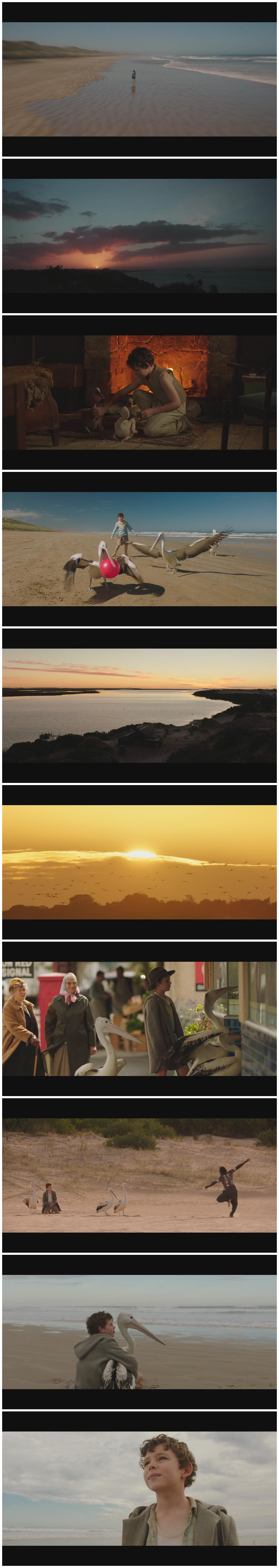 鹈鹕的故事剧照的剧照