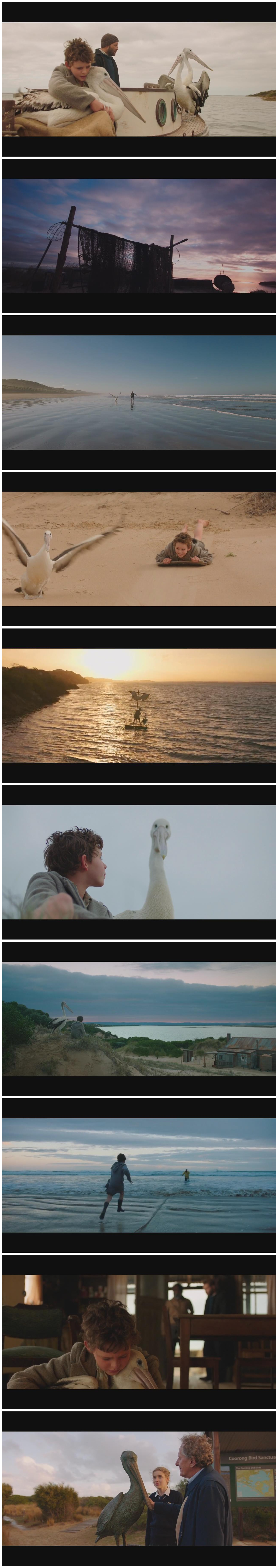 鹈鹕的故事剧照的剧照