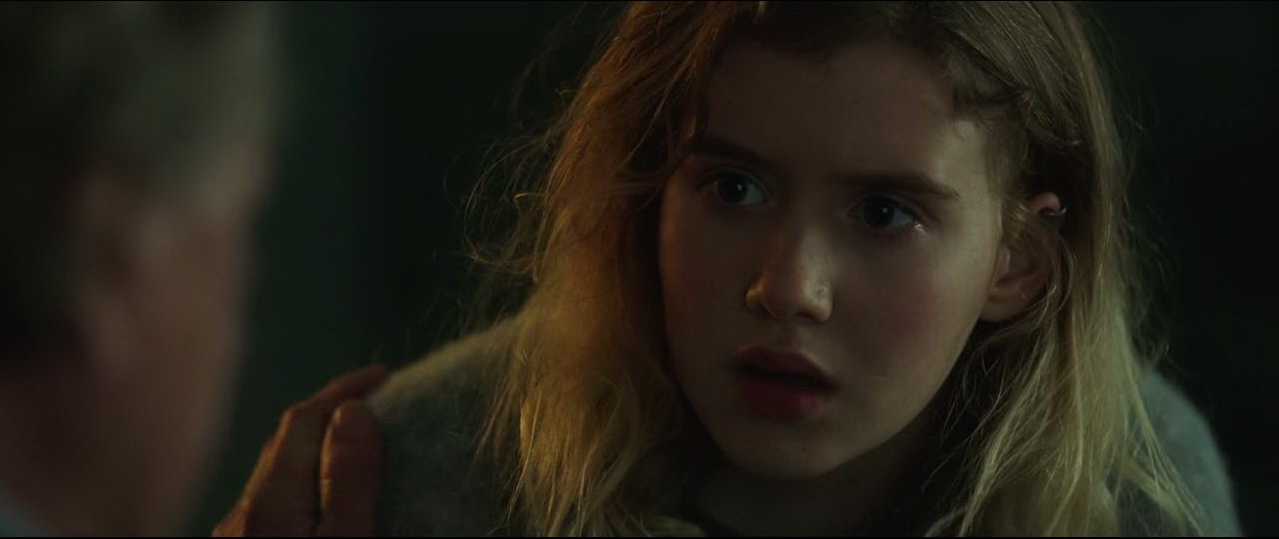 鹈鹕的故事剧照的剧照