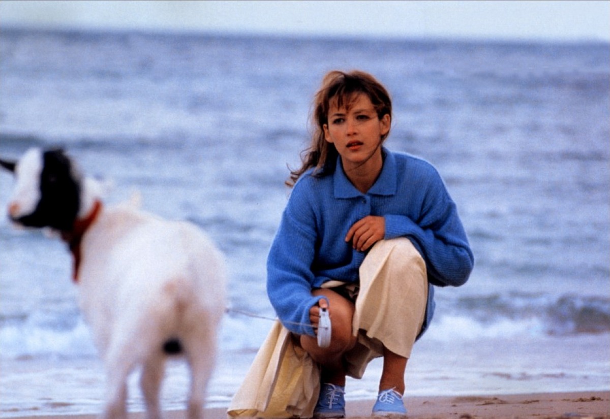 芳芳剧照的剧照