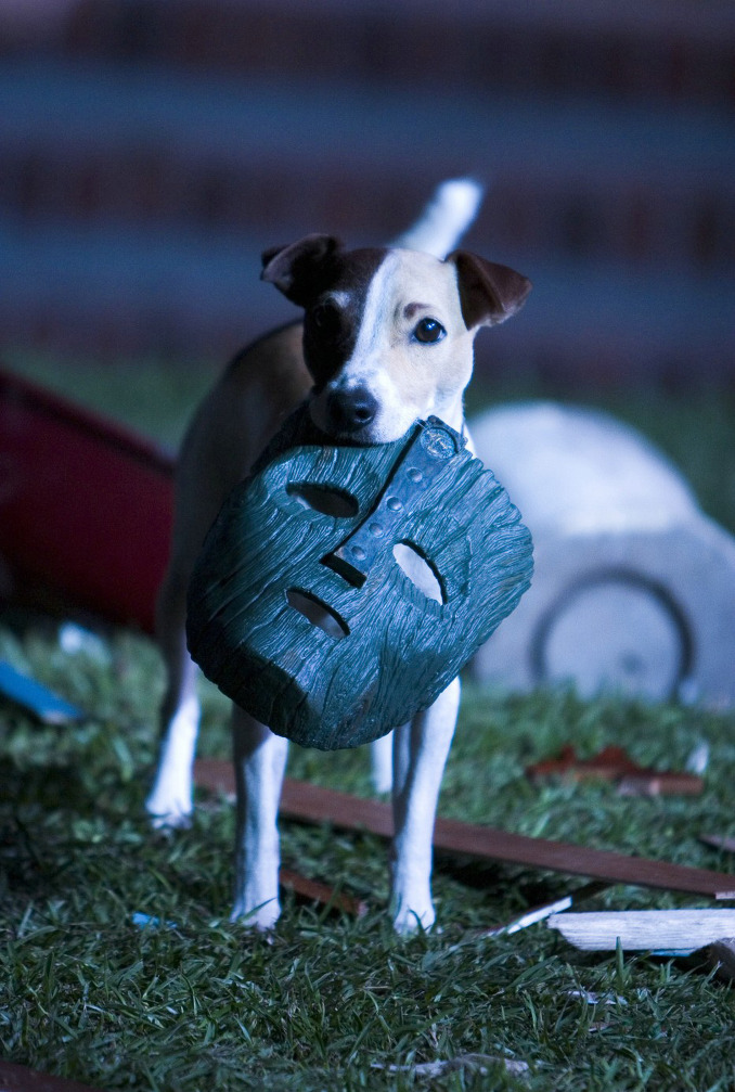 变相怪杰2：面具之子剧照的剧照