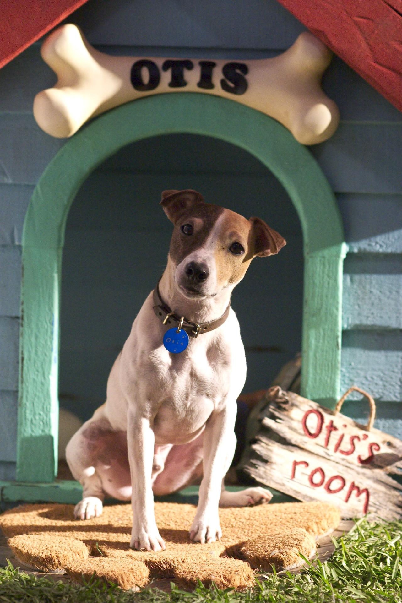 变相怪杰2：面具之子剧照的剧照