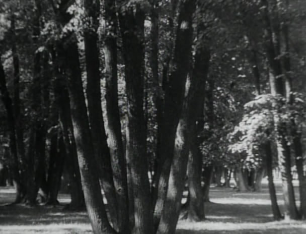 白静草原剧照的剧照