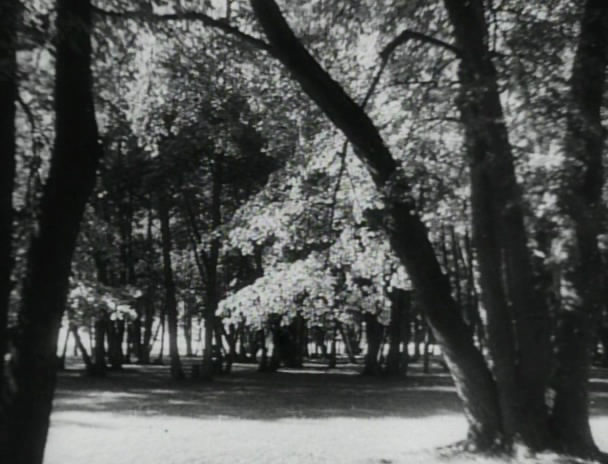 白静草原剧照的剧照