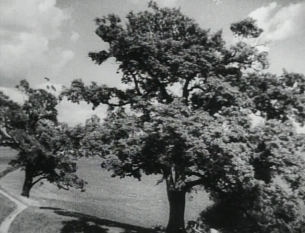 白静草原剧照的剧照