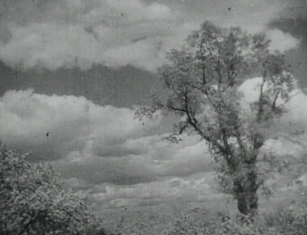 白静草原剧照的剧照