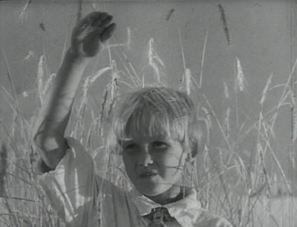 白静草原剧照的剧照